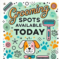 Muddy Paws Grooming Salon - Voted Gold Award Winner forBest Grooming Salon, Best of the Central Coast! Call us today to book an appointment.