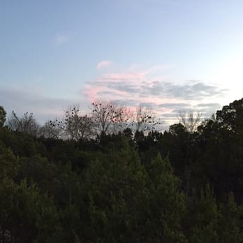 Cleburne State Park - Trees and trees and trees! - Parks Near Me - Cleburne, Texas