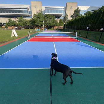 The Lawn On D - Venues & Event Spaces Near Me - Boston, Massachusetts The Lawn On D - Venues & Event Spaces Near Me - Boston, Massachusetts