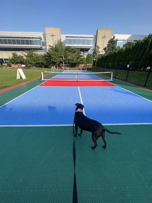 the Lawn on D by null