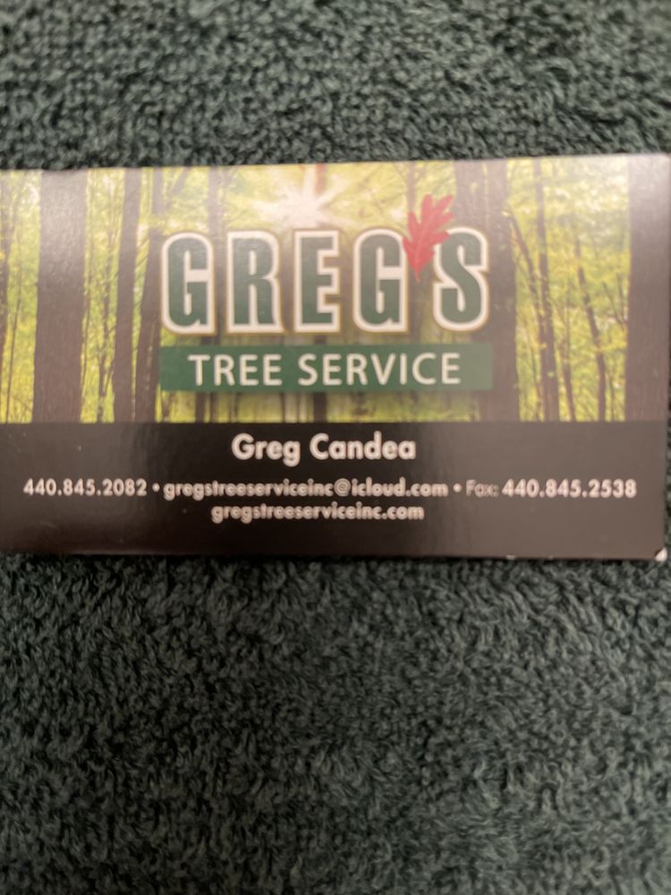 Greg's Tree Service - tree service in Parma, OH
