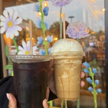 Macondo Coffee Roasters - Coffee & Tea Near Me - Doral, Florida