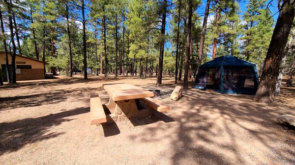 Mather Campground by null