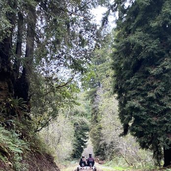 Skunk Train - Tours Near Me - Fort Bragg, California Skunk Train - Tours Near Me - Fort Bragg, California