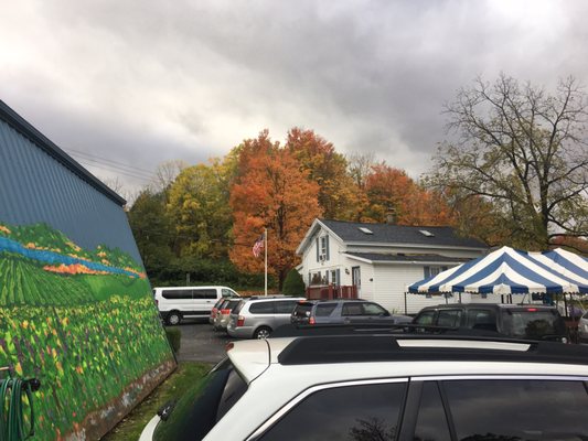 Arbor Hill Grapery & Winery by null