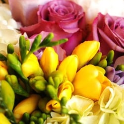 The Joyful Rose Floral Design - Happy freesia, roses and hydrangeas