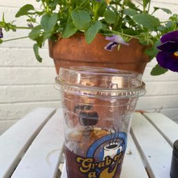 ows a cup of iced coffee on a table