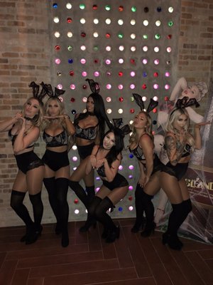 Bottled Blonde - Dallas by null Bottled Blonde - Dallas by null