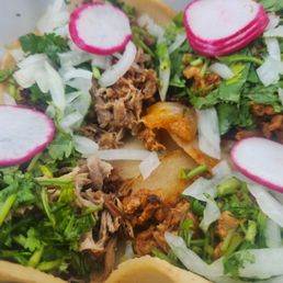 a closeup of a taco dish a closeup of a taco dish