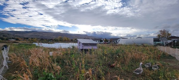 Reno Food Systems by null