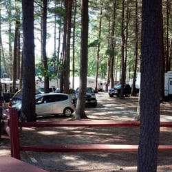 Outdoor World - View from the office picnic area.