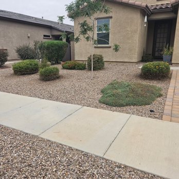 1. Big Ants Landscaping