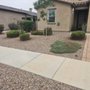 Photo of Big Ants Landscaping