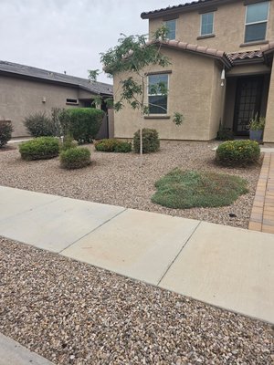 Big Ants Landscaping on Yelp