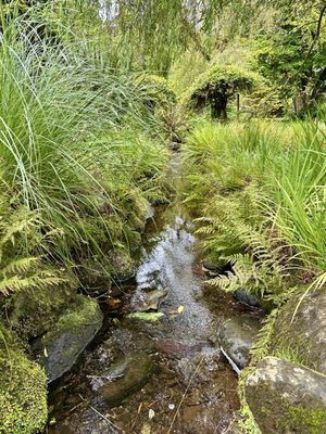 Killarney National Park by null