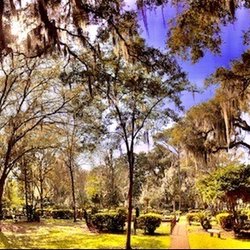 Christ Church at Frederica - Christ Episcopal Church
