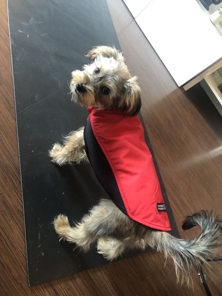 PET CUISINE AND ACCESSORIES Updated April 2024 50 Photos & 31