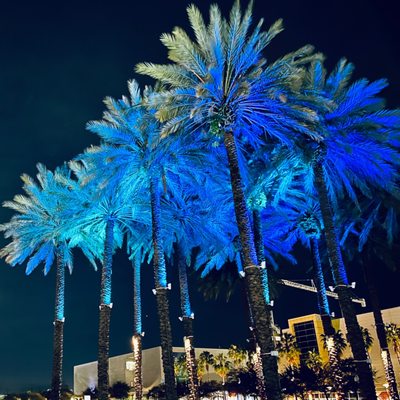 Curtis Hixon Waterfront Park by null