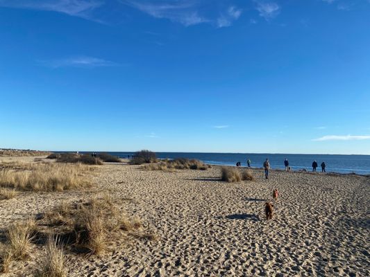 MUD CREEK DOG PARK - Updated December 2024 - 50 Photos & 20 Reviews