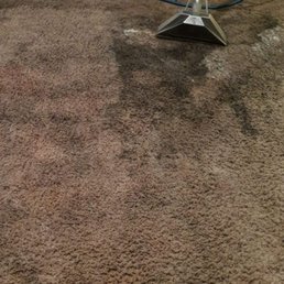 That dark spot was my whole carpet That dark spot was my whole carpet