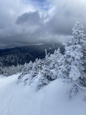 Cannon Mountain Ski Resort by null