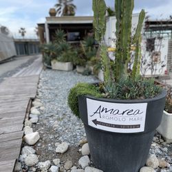 Amarea - Amarea