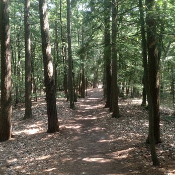 P.H. Hoeft State Park - Hiking trails - Campgrounds Near Me - Rogers City, Michigan P.H. Hoeft State Park - Hiking trails - Campgrounds Near Me - Rogers City, Michigan