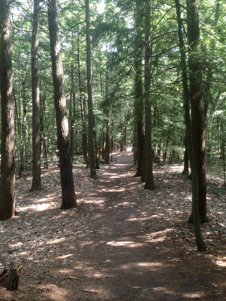 P.H. HOEFT STATE PARK Updated July 2024 5001 US23, Rogers City