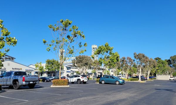 Bridgeside Shopping Center by null