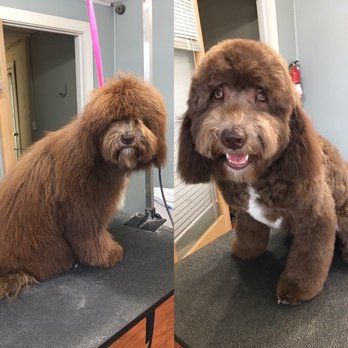 Brielle Dog Boutique - I can see you again - Pet Groomers Near Me - Brielle, New Jersey Brielle Dog Boutique - I can see you again - Pet Groomers Near Me - Brielle, New Jersey