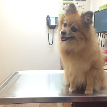 PetSmart - Pet Training Near Me - Oceanside, California
