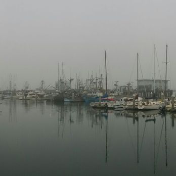 Barbara's Fishtrap - The harbour on a foggy eve - Seafood Near Me - Half Moon Bay, California Barbara's Fishtrap - The harbour on a foggy eve - Seafood Near Me - Half Moon Bay, California