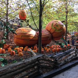 Elizabeth Baker - Evolution Travel - Halloween at Dollywood