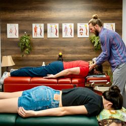 Nate Patocchi, DC - Whole Light Chiropractic