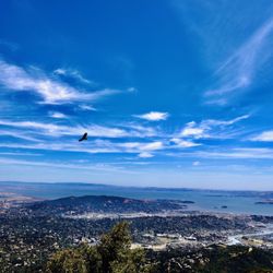 Mt. Tamalpais East Peak