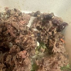 Fresh To Order - Supposed Bison Burger