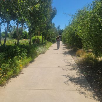 Park Winters - Bed & Breakfast Near Me - Winters, California