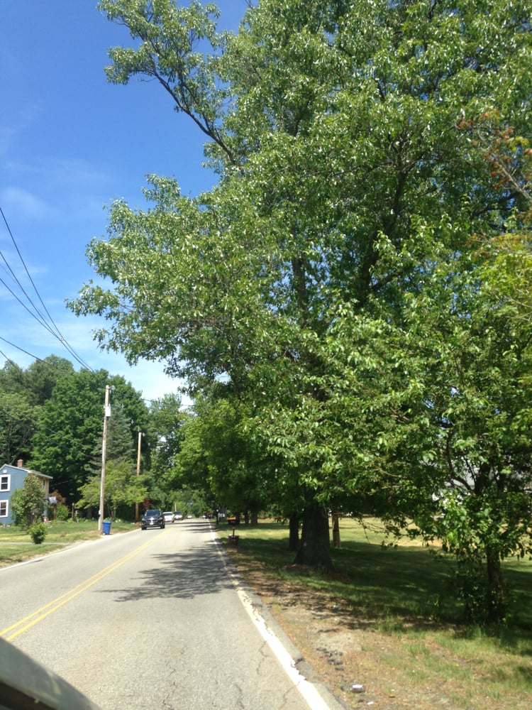 TOWN OF NORTHBOROUGH Hudson St, Northborough, Massachusetts Local