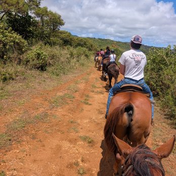 Gunstock Ranch - The trail - Horseback Riding Near Me - Laie, Hawaii Gunstock Ranch - The trail - Horseback Riding Near Me - Laie, Hawaii
