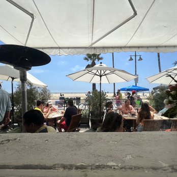 Fig Tree - The view - Cafes Near Me - Los Angeles, California Fig Tree - The view - Cafes Near Me - Los Angeles, California