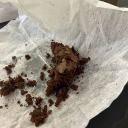 Devoured Chocolate Brownie - Regular