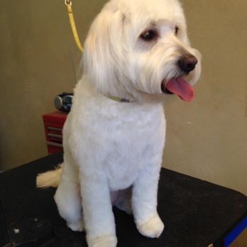 Affordacare Pet Grooming - Pet Groomers Near Me - Somerset, Wisconsin Affordacare Pet Grooming - Pet Groomers Near Me - Somerset, Wisconsin