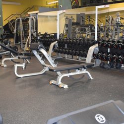 Equalize Fitness - Plenty of free weights for all of your strength training needs.