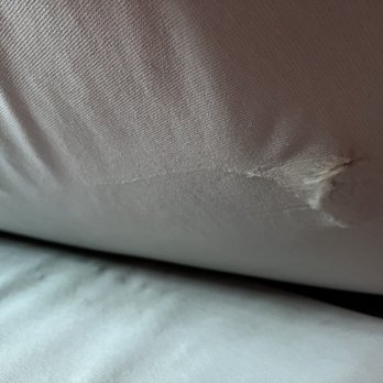 My EzMove - Movers Near Me