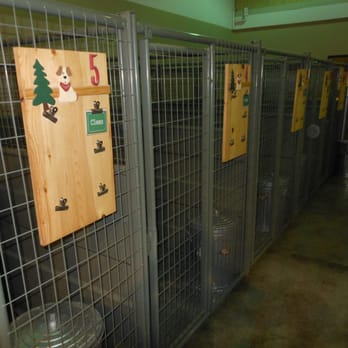 Camp Bow Wow - Large 5x10 Cabins - Pet Sitting Near Me - Hilliard, Ohio Camp Bow Wow - Large 5x10 Cabins - Pet Sitting Near Me - Hilliard, Ohio