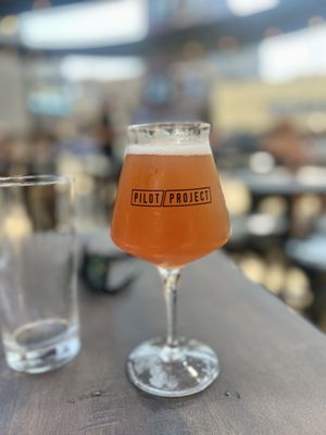 Pilot Project Brewing - Wrigleyville by null