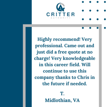 Critter Authority - A happy customer left us this kind review. - Wildlife Control Near Me - Richmond, Virginia