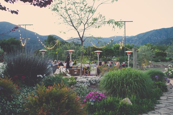 Colectivo Felix by null