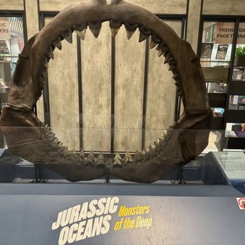 Field Museum - Megladon - Museums Near Me - Chicago, Illinois Field Museum - Megladon - Museums Near Me - Chicago, Illinois