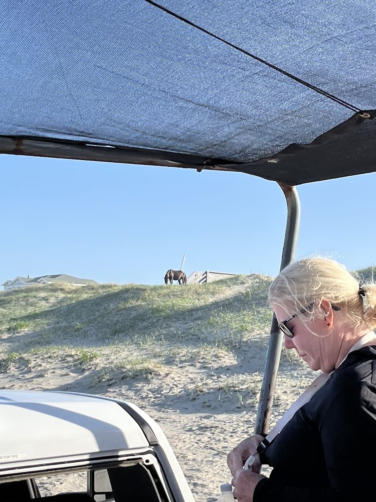 Back Country Safari Tours